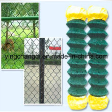 Clôture de la chaîne de haute qualité / clôture sportive / clôture scolaire